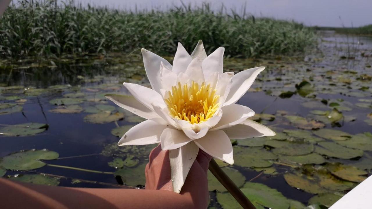 Delta Mayanka Mineri Экстерьер фото
